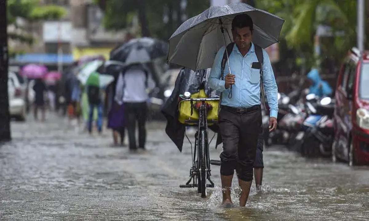 Heavy rain in Tamil Nadu, holiday in schools in many districts