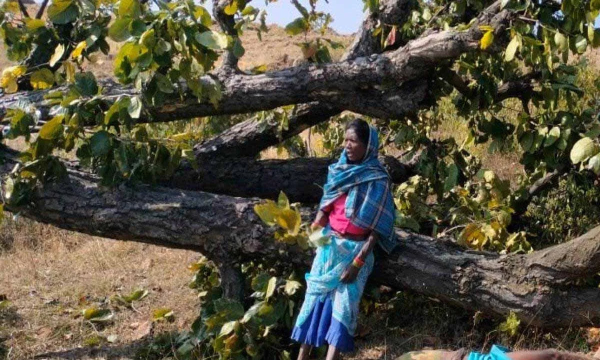 Villager died after getting buried under a tree, sensation spread