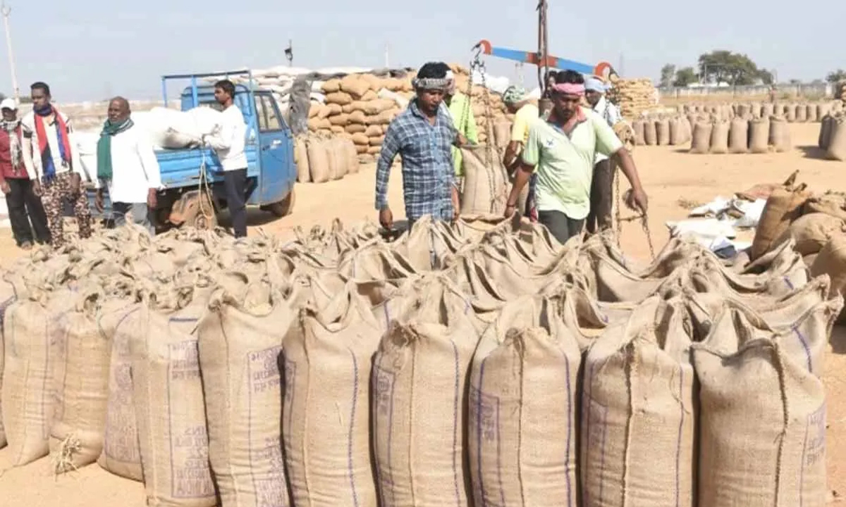 45.54 lakh metric tonnes of paddy purchased so far in the state