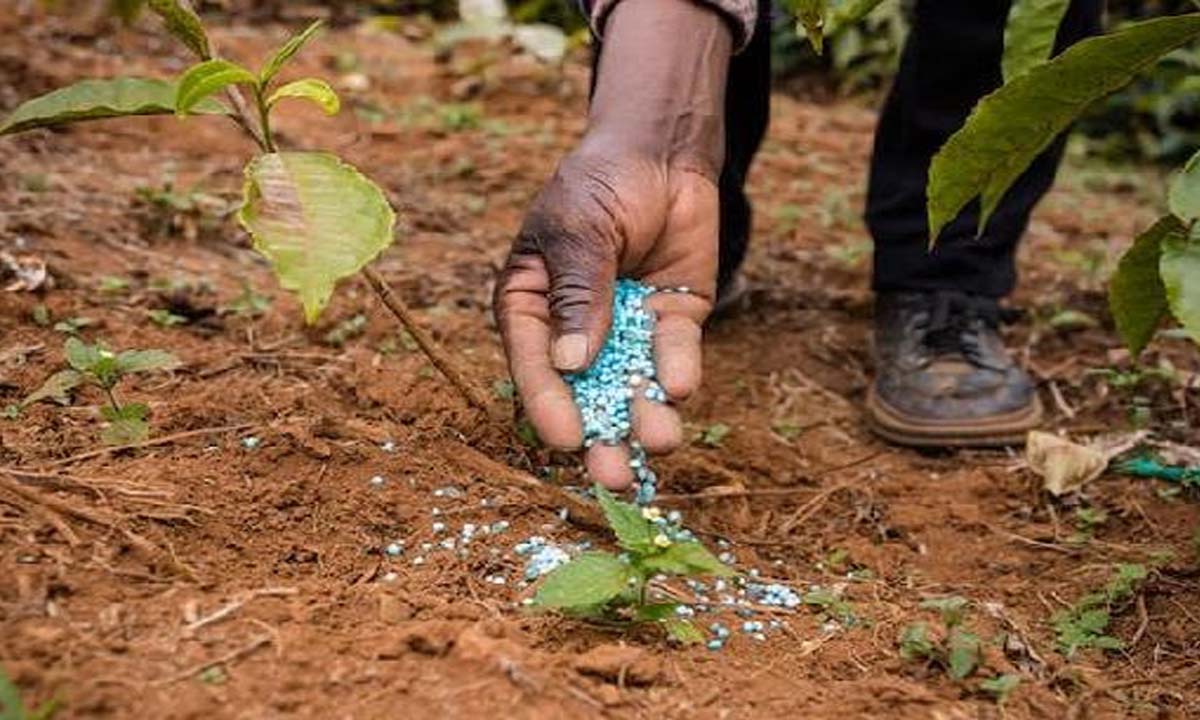New Delhi: Modi cabinet approves launch of sulphur-coated fertilizers