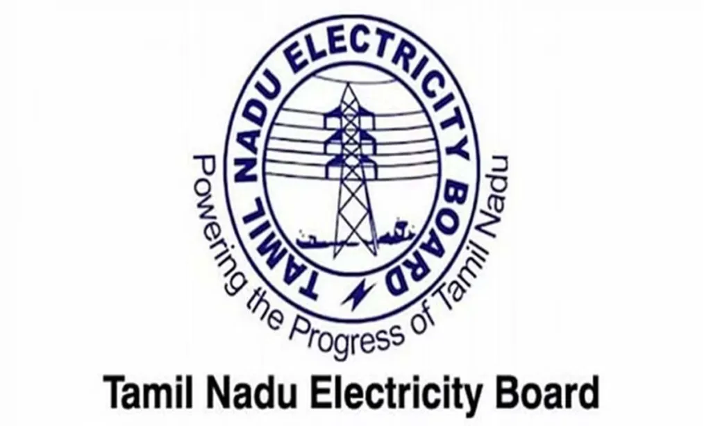Tamil Nadu: TNEB officials fined Rs 35,000 for irregularities in service