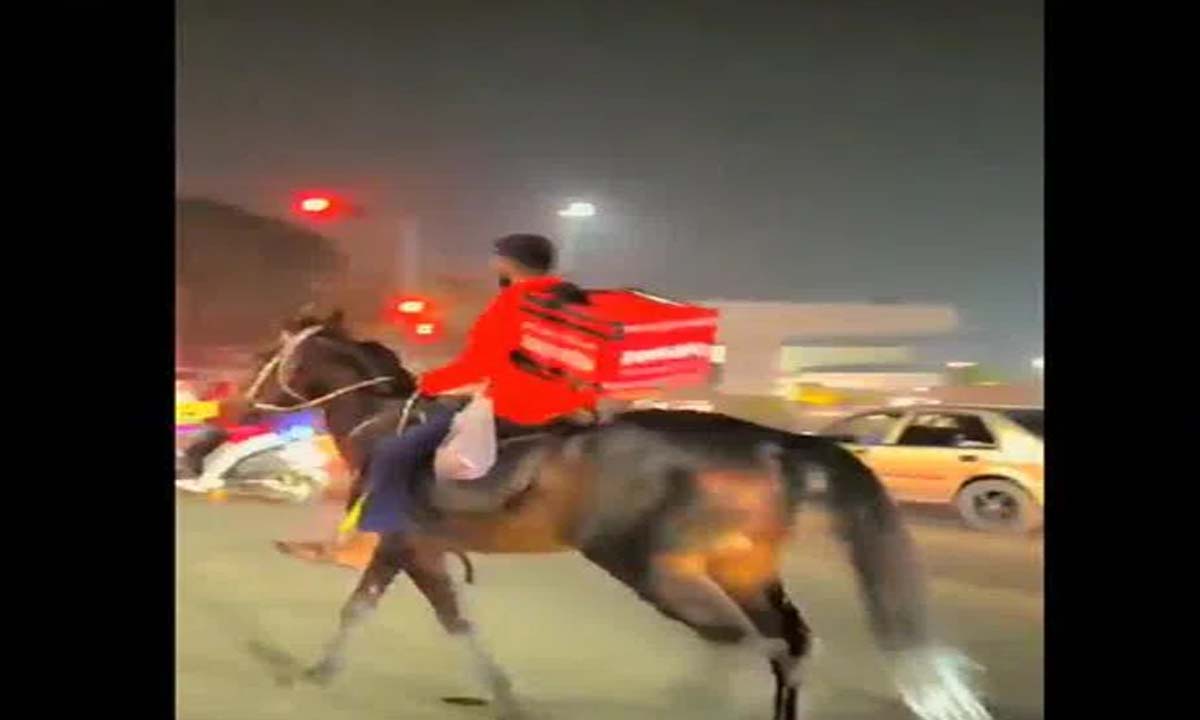 Hyderabad: Zomato delivery agent rides on horse to drop off food in Hyderabad