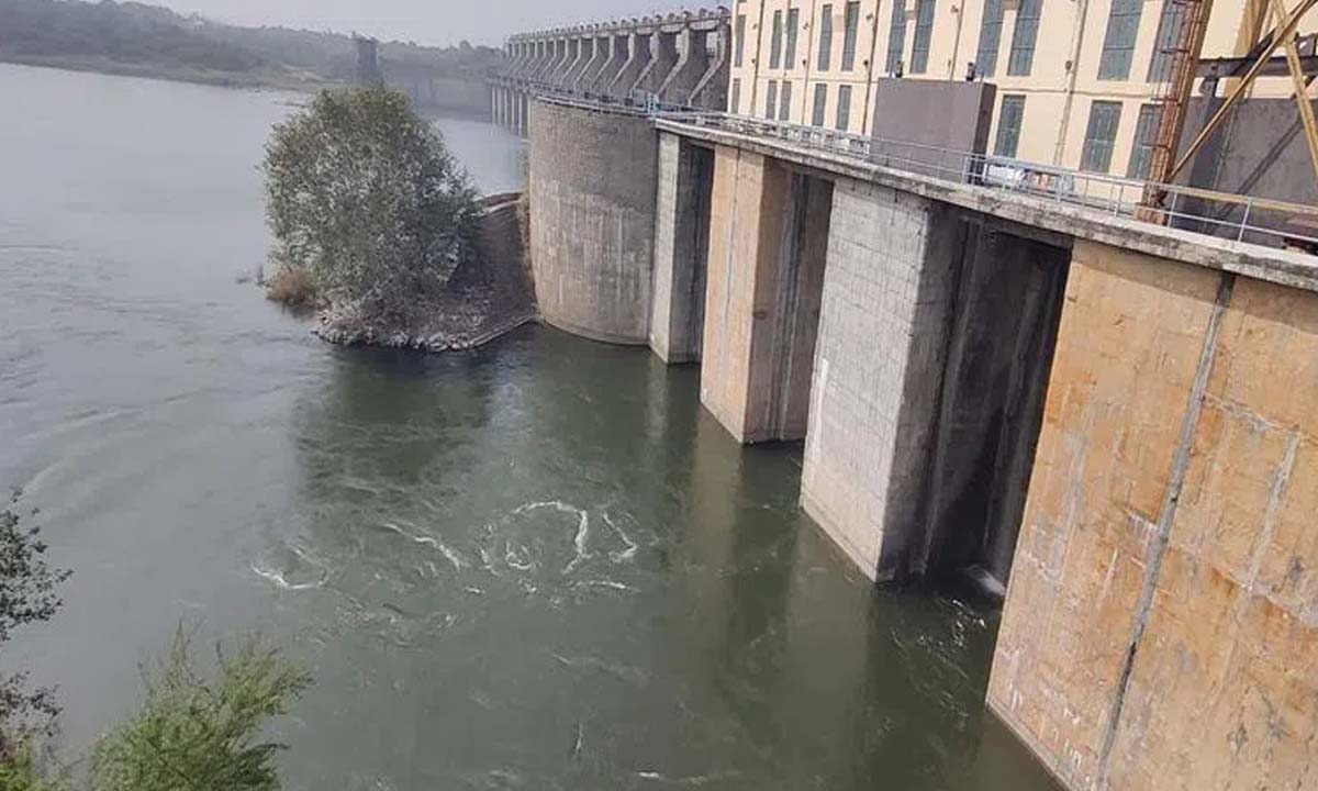 Medak: Water released from Singur to meet the Yasangi needs of farmers