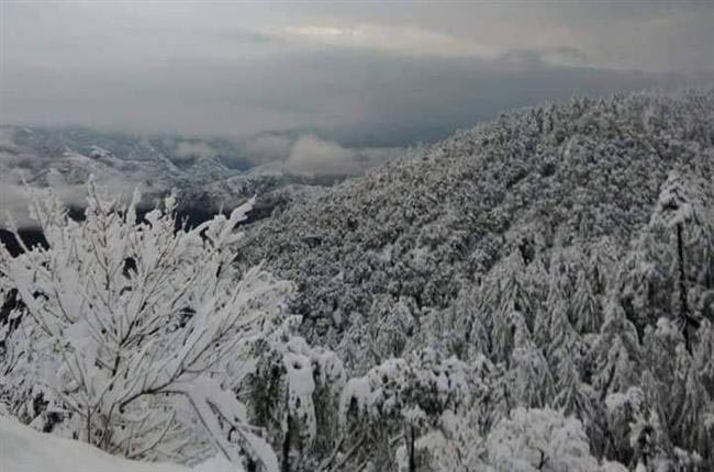 Weather changed due to snowfall in the mountains in Himachal