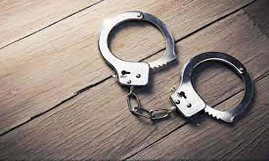 Chandigarh: 1 arrested for mobile theft