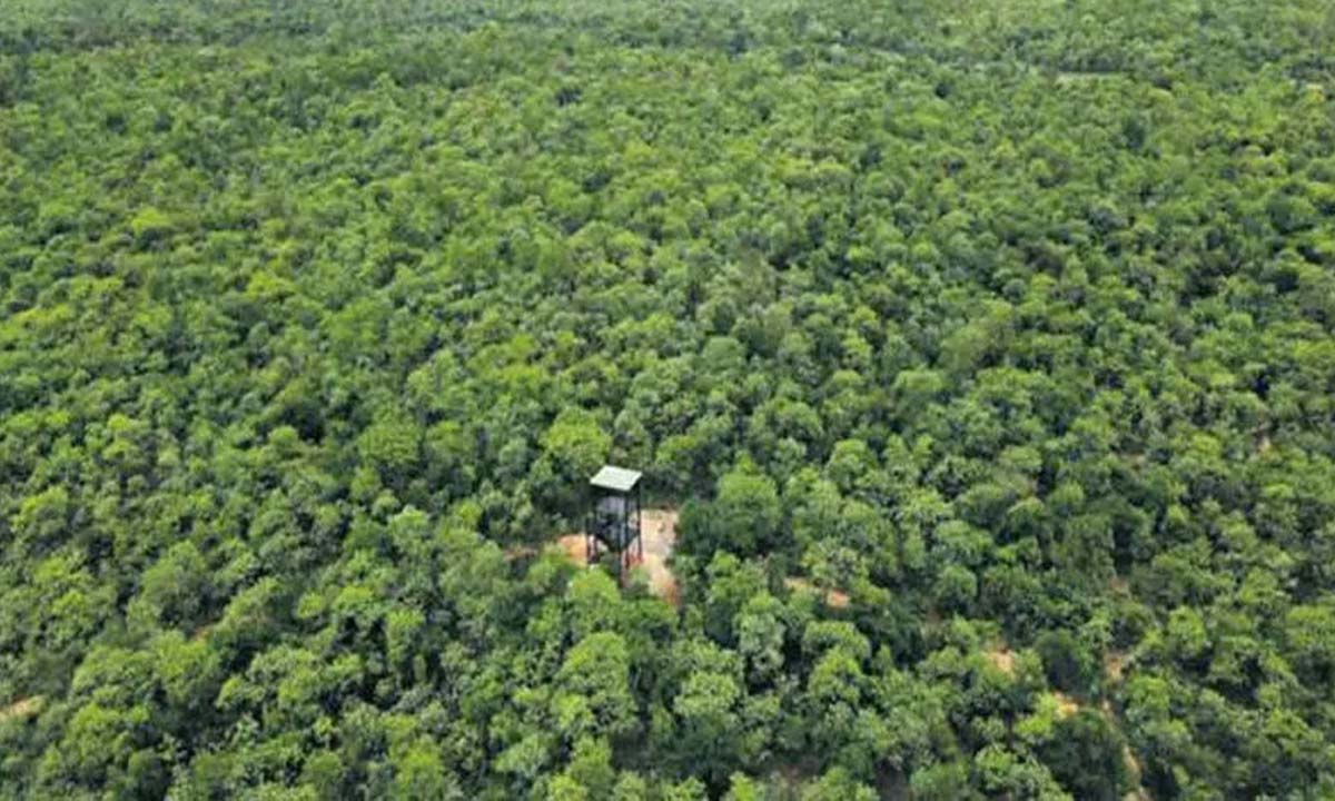 Telangana: Tribal organization demands Center to stop privatization of forests