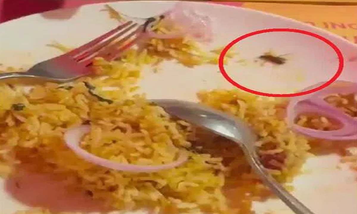 Hyderabad: Cockroach found in biryani at Jubilee Hills BBQ restaurant, GHMC inspected