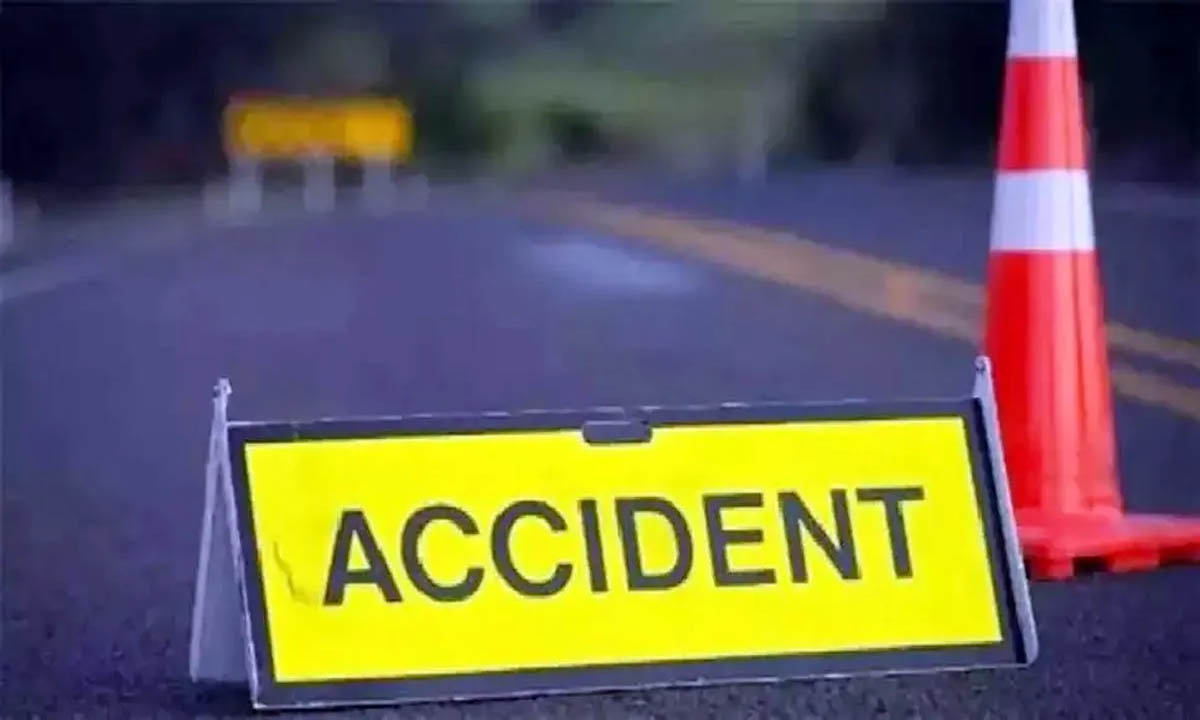 Elderly bike rider dies after being hit by speeding car