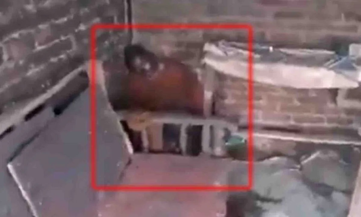 Teacher burnt alive in room, watch VIDEO…