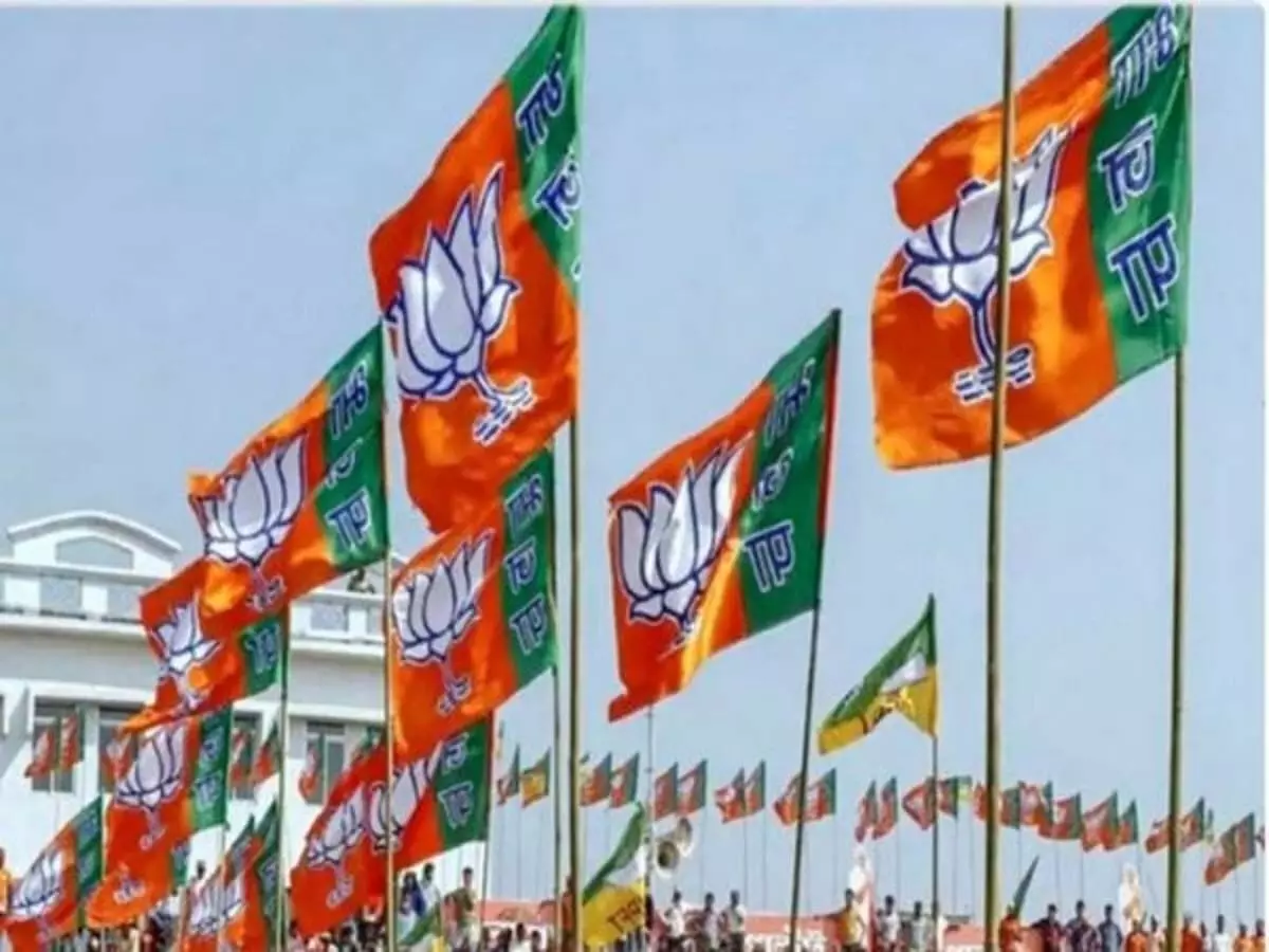 Karnataka BJP to correct 'past mistakes' before Lok Sabha elections