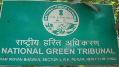 NGT panel to probe encroachment on Mahanadi river bed in Odisha