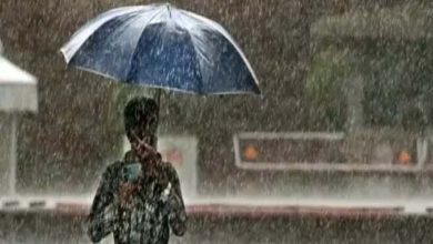 Rain likely to continue in Odisha for next 3 days, Meteorological Department predicts