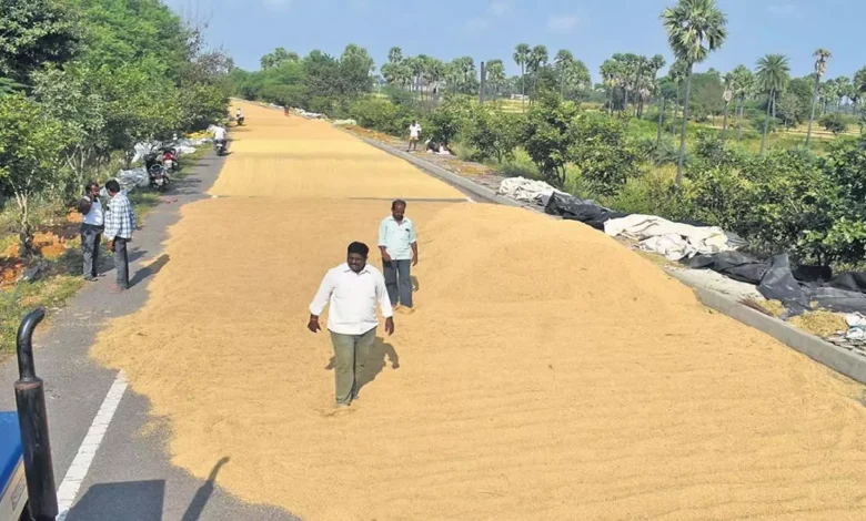 Rs 17 crore for delta farmers who lost Kuruvai paddy