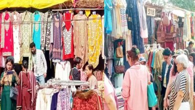 J&K’s art-culture, heritage showcased in Surajkund International Mela