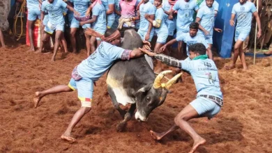 Tamil Nadu: Many injured in Jallikattu event in Sivagangai
