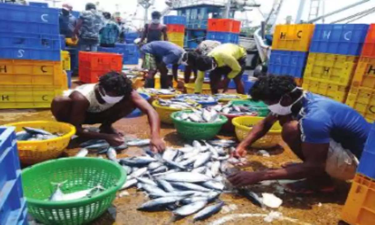 Halarnkar asks youth to pursue bizin fisheries sector instead of jobs