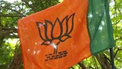 Lok Sabha polls: BJP will shortlist 3 to 5 candidates for each constituency