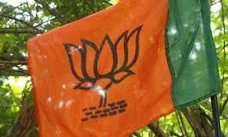 Lok Sabha polls: BJP will shortlist 3 to 5 candidates for each constituency