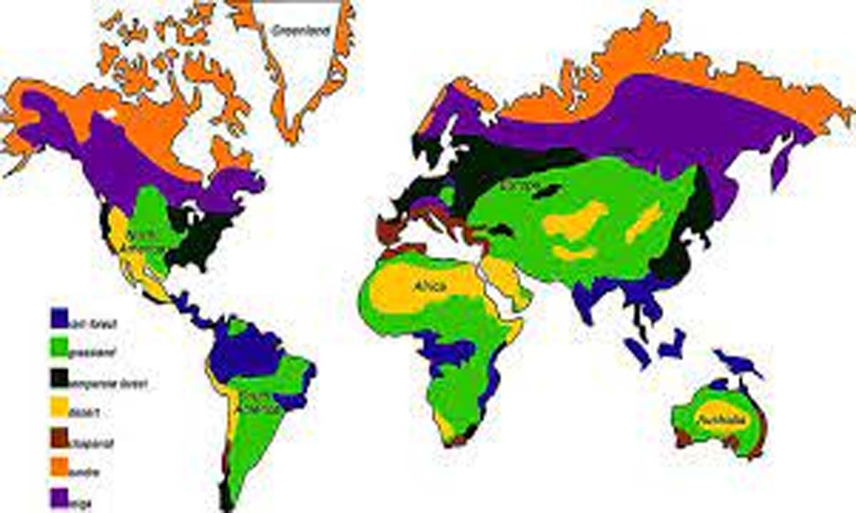 ‘Trillions of dollars a year needed to prevent Earth from overheating’