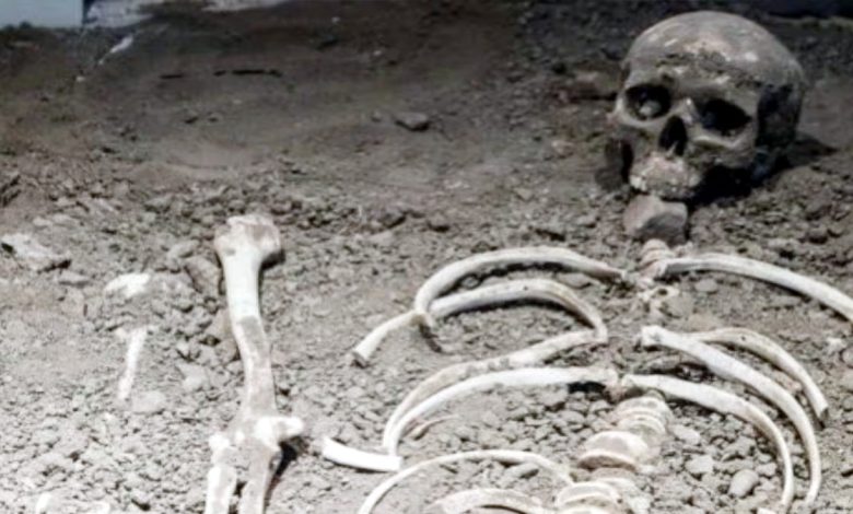 Four human skeletons about 15 years old found in vacant plot in Damodar Nagar