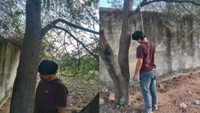 Dead body of a young man found hanging from a tree in Tikrapara