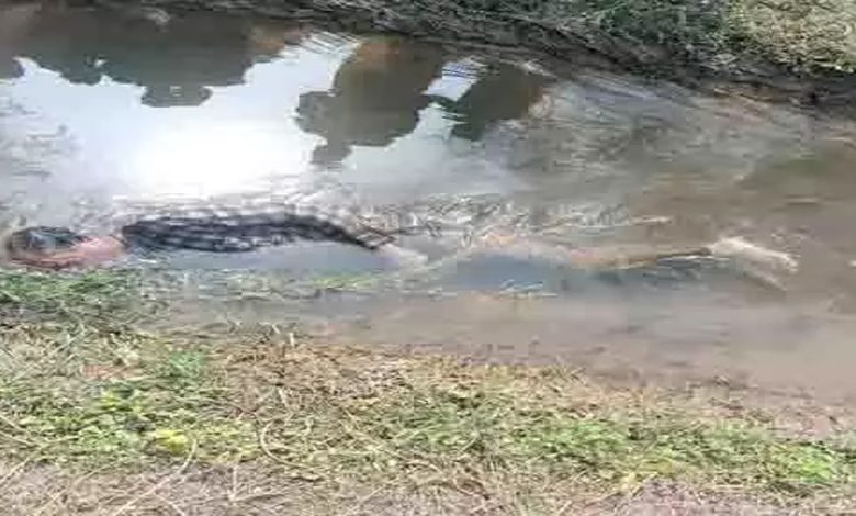 Dead body of a young man found in the canal, sensation spread in the village