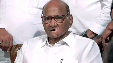 Sharad Pawar plays NCP's election 'trumpet' in Raigarh