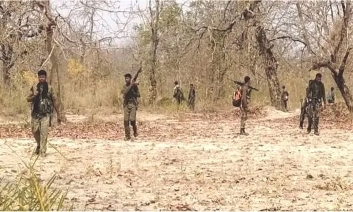 Two Naxalites killed in Narayanpur, 12 bore gun also recovered