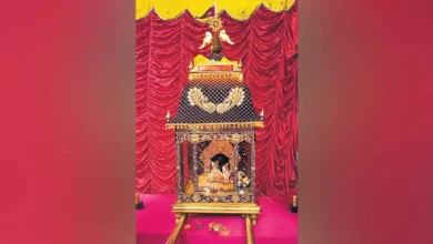 Palki made of 2.5 kg gold shines in Kathgada Sahi on Dola Dashami