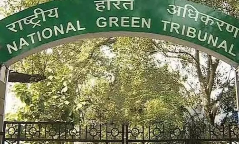 NGT issues notice to Centre, state on eco-tourism in Satkosia Tiger Reserve