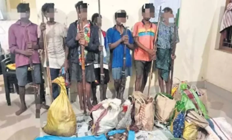 9 poachers arrested with firearms, sambar meat in Similipal