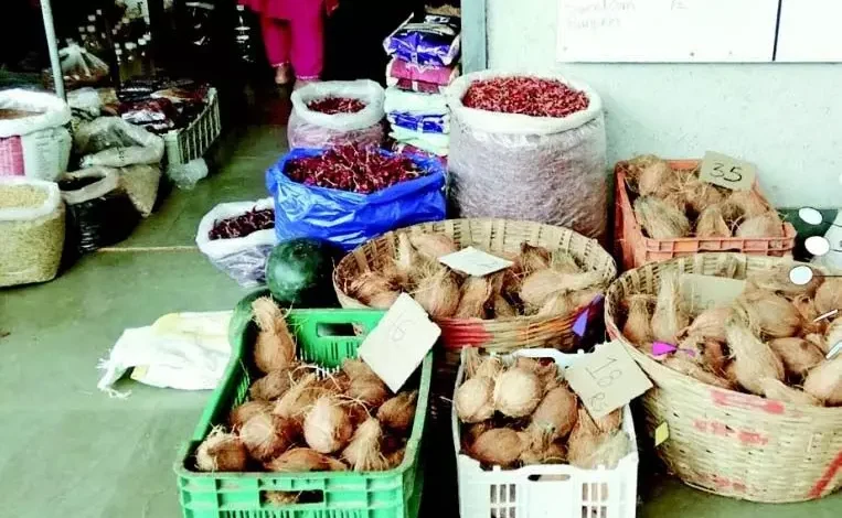 Housewives of Ponda troubled by rising prices of coconut