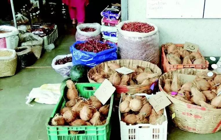 Housewives of Ponda troubled by rising prices of coconut