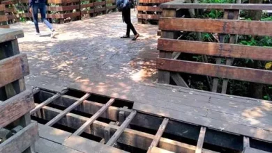 Dilapidated condition of mangrove boardwalk creates concern among Panaji residents