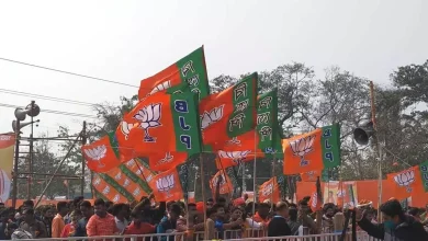 BJP's manifesto to focus on Dalit upliftment