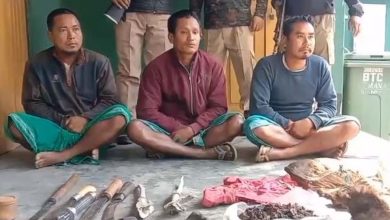 Successful Operation Busts Poaching Ring in Manas National Park; Three Arrested