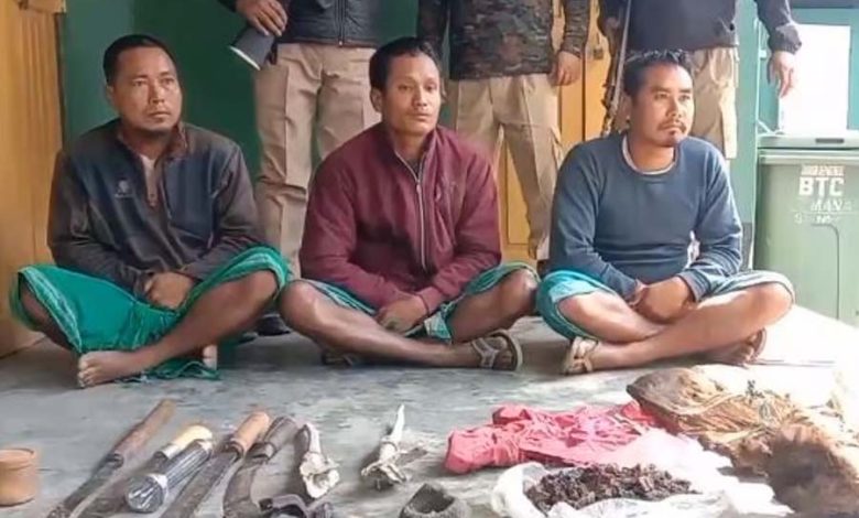 Successful Operation Busts Poaching Ring in Manas National Park; Three Arrested