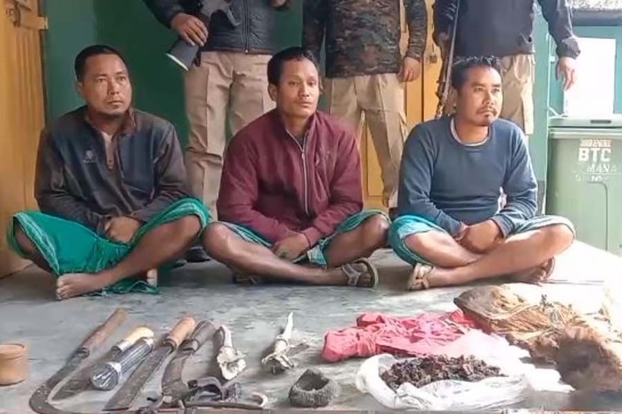 Successful Operation Busts Poaching Ring in Manas National Park; Three Arrested