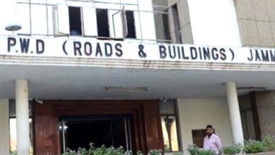 Panel constituted for solarisation of PW(R&B) buildings