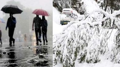 Light rain in Punjab since morning, snowfall alert in Himachal