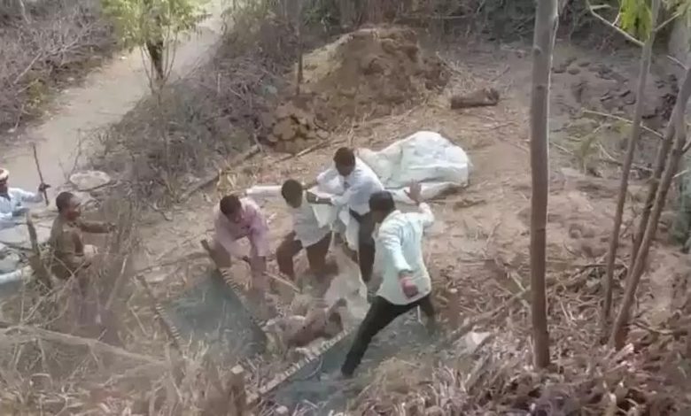 Leopard attacked and injured two brothers working on the farm