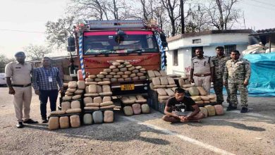 Ganja worth Rs 75 lakh seized from truck, hidden in vegetable cartGanja worth Rs 75 lakh seized from truck, hidden in vegetable cart