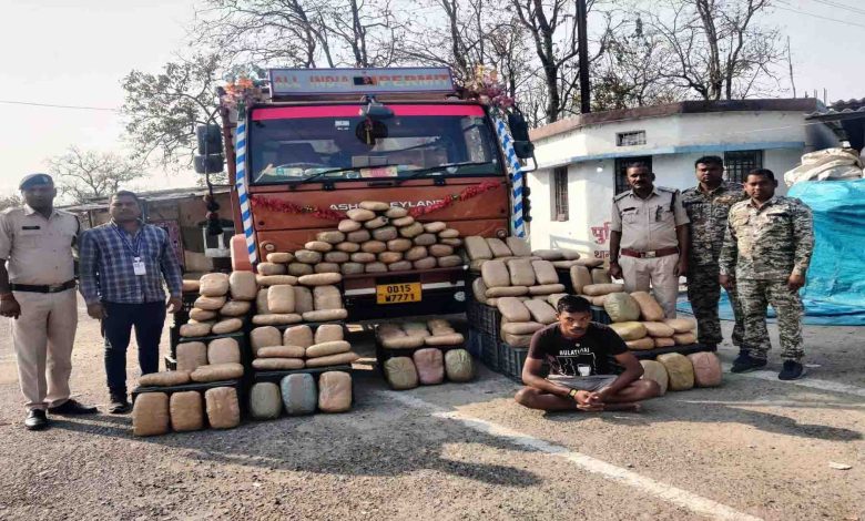 Ganja worth Rs 75 lakh seized from truck, hidden in vegetable cartGanja worth Rs 75 lakh seized from truck, hidden in vegetable cart