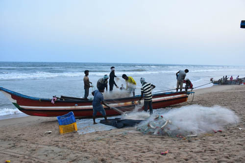 Sri Lankan Navy arrested seven fishermen from Tamil Nadu