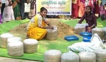 Woman farmer adopted organic farming, path to success became easy