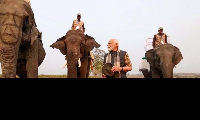 PM Modi did safari in Kaziranga National Park, was seen doing photography