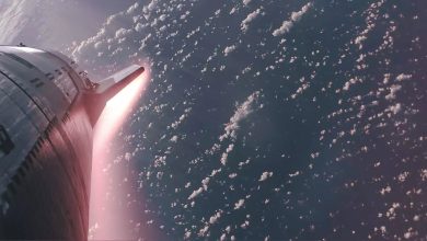 Starship rocket will reach Mars in the next 5 years, Elon Musk announces