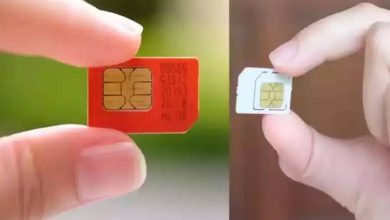 Active SIM card was being sent abroad from India, such revelation created panic all around