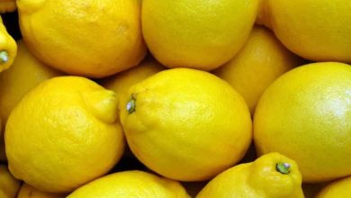 9 lemons were sold for 2.36 lakhs, the reason is very special
