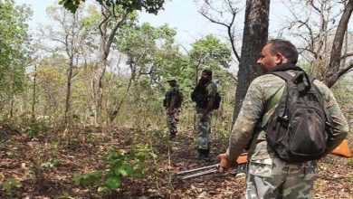 6 Naxalites killed, force gets big success in Bijapur